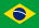 Brazil Flag Icon